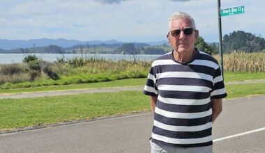 'Old tyres on a new car': Subdivision loses chip seal battle