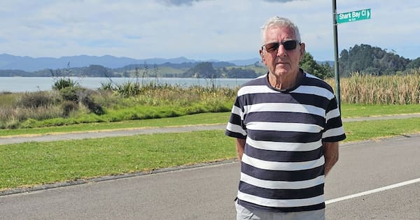 'Old tyres on a new car': Subdivision loses chip seal battle