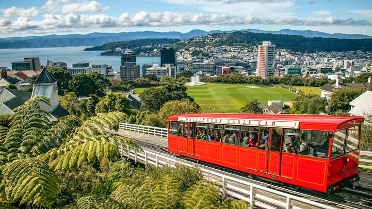 Wellington city views (file image)