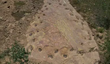 150-million-year-old dinosaur footprints reveal something strange about its walk