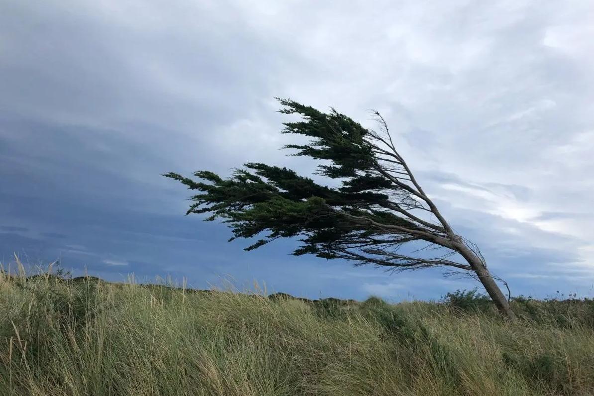 Strong winds to batter South at the weekend
