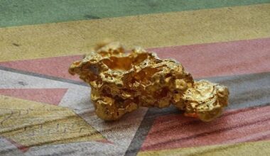 Zimbabwe limits gold-buying incentives to $300 million as it weighs the cost of backing its currency