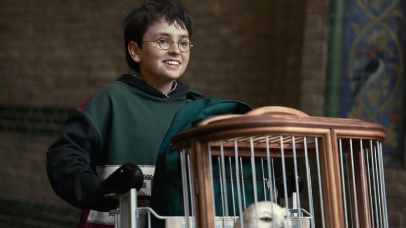 A scene from Harry Potter And The Philosopher's Stone A scene from Harry Potter And The Philosopher's Stone