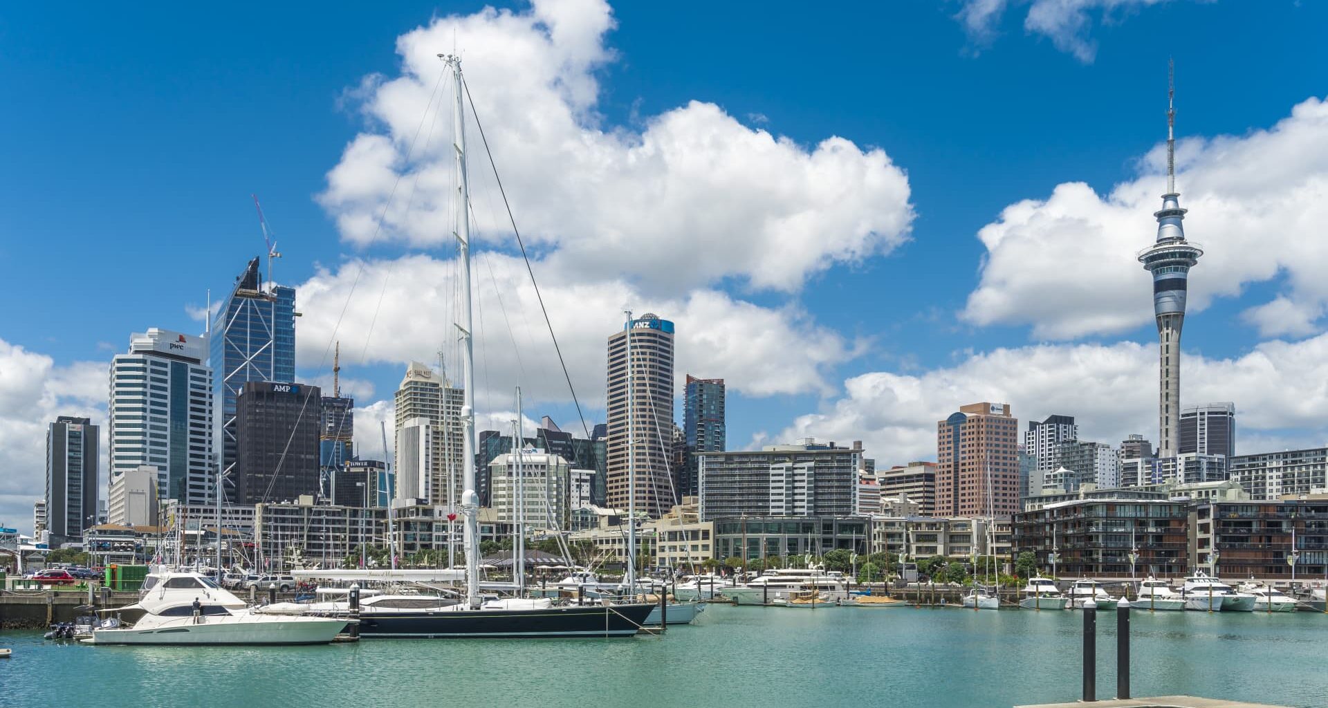 New Zealand sovereign wealth fund warns stock market pullback ahead