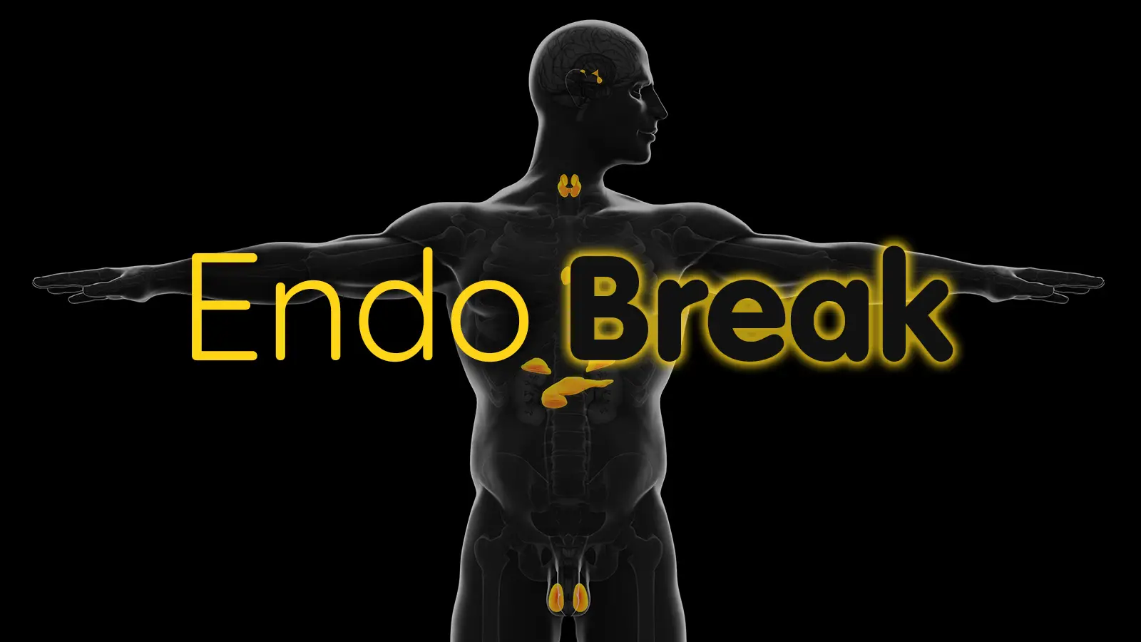 Endo Break over a computer rendering of a man with illustrated body organs.