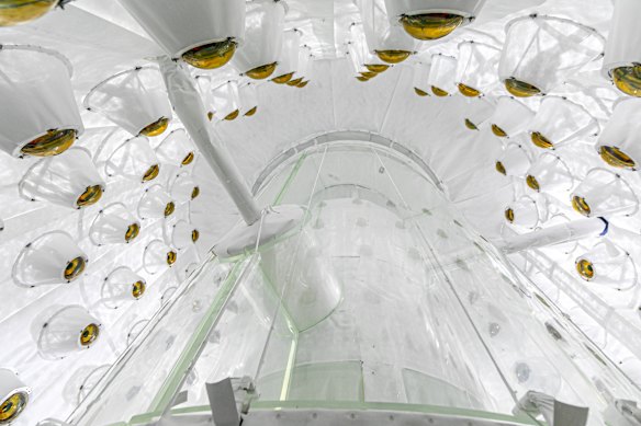 Looking up into the LZ outer detector used to veto radioactivity that can mimic a dark matter signal.