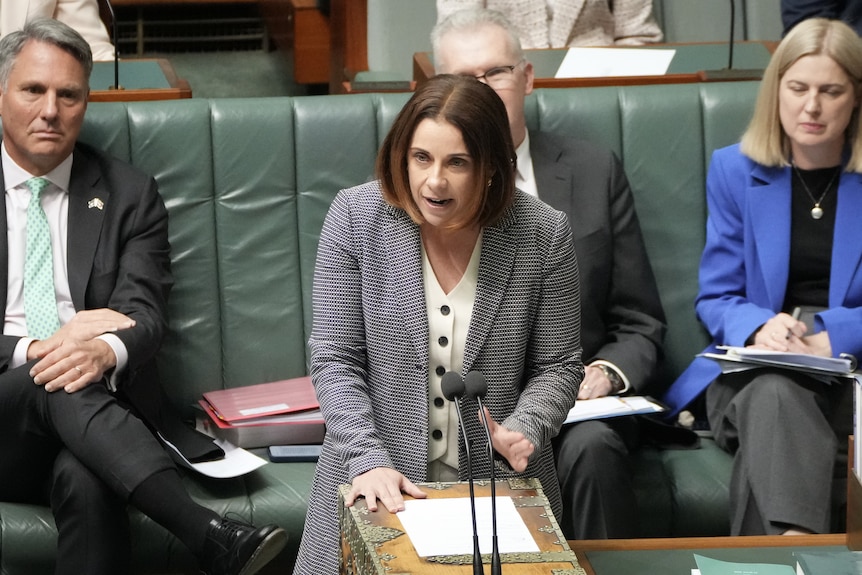 A dark-haired woman leans over a lectern as she speaks inside a parliamentary chamber.