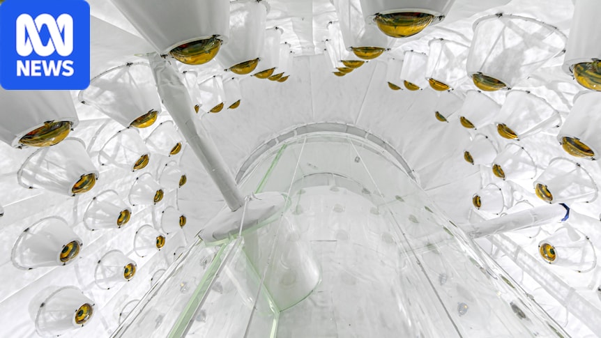 'Exciting hint' of dark matter spotted by LUX-ZEPLIN detector, physicists report