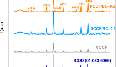 Development of biochar-based magnetic adsorbent for enhanced Pb(II) ions removal
