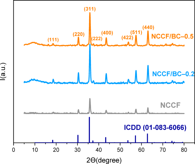 Development of biochar-based magnetic adsorbent for enhanced Pb(II) ions removal