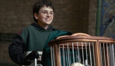 Harry Potter And The Philosopher's Stone Trailer Review: Magic Starts Anew