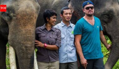 Leonardo DiCaprio helped protect Indonesia’s Leuser Ecosystem, a rare rainforest where elephants, tigers and orangutans still live together | World News