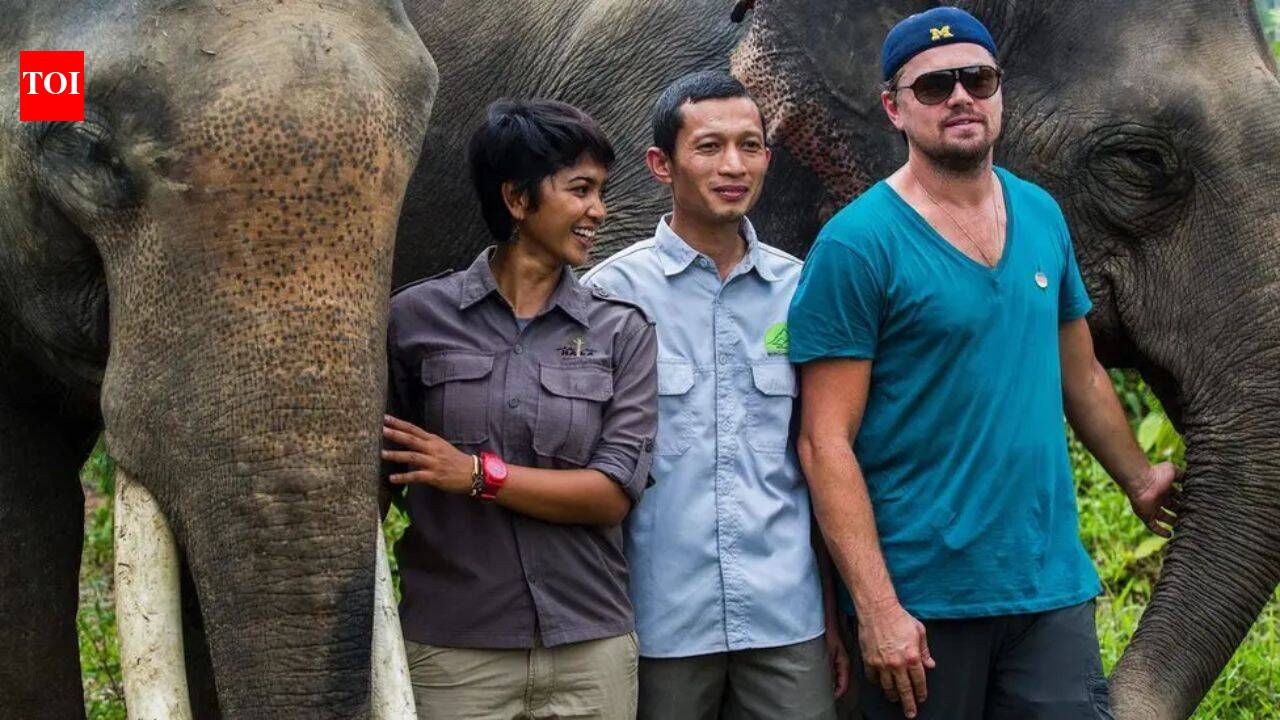 Leonardo DiCaprio helped protect Indonesia’s Leuser Ecosystem, a rare rainforest where elephants, tigers and orangutans still live together | World News