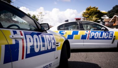 Kaikohe police dog bite: IPCA finds use of force justified
