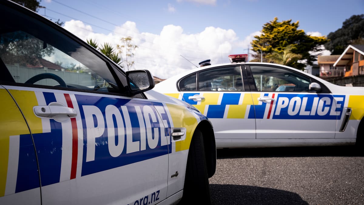 Kaikohe police dog bite: IPCA finds use of force justified