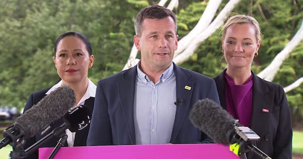 ACT vows to abolish Waitangi Tribunal when historical claims done