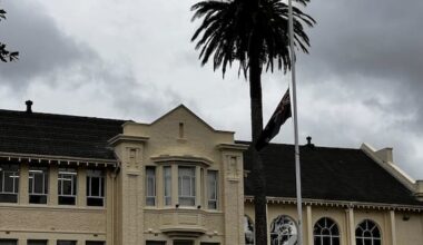 Police urge families to get support after Auckland student's rail death