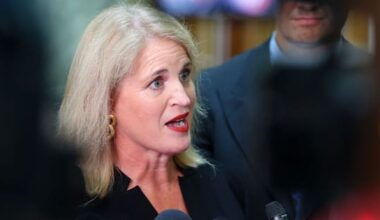 Minister's job 'untenable' after review of MSD payment errors – Greens