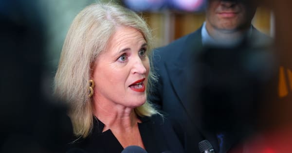Minister's job 'untenable' after review of MSD payment errors – Greens