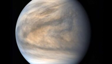Sulfurous Venusian Cloud Cover