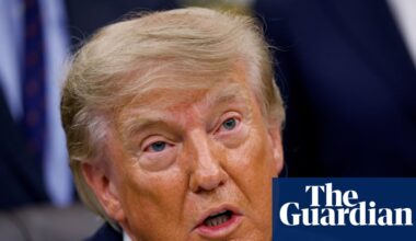 Trump facing AI backlash in Congress as push for guardrails intensifies | AI (artificial intelligence)