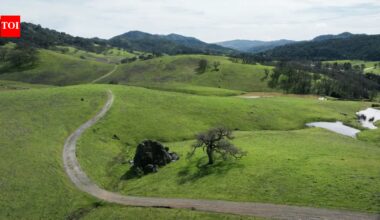 California’s 1,921-acre Mead Ranch is now protected as a $24 million acquisition strengthens wildlife corridors around Coyote Valley | World News