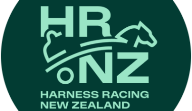 Minor setback for unbeaten trotter