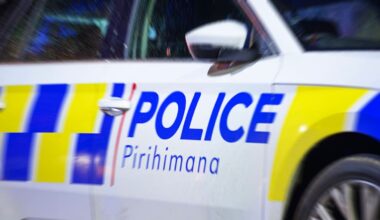 Driver of stolen car in custody after alleged carjacking attempts in South Auckland