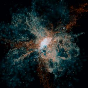 JWST finds early galaxies were already seeding the universe with heavy elements