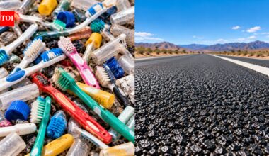 In 2002, New Mexico mixed discarded toothbrush fragments and plastic tubing into a 2-mile interstate; it projected 25% longer life and 27% less waste | World News
