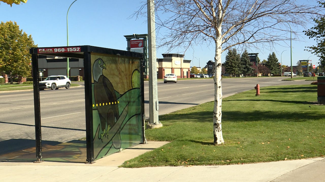 A brown bald eagle painting with a sunset is depicted on a vinyl wrap inside a bus shelter.