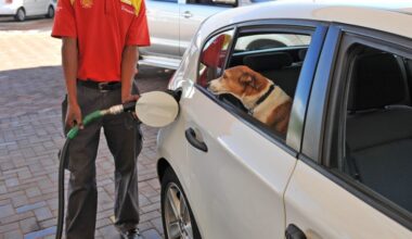 Add Cape Argus as a preferred source on Google