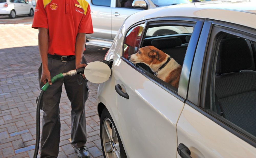 Add Cape Argus as a preferred source on Google