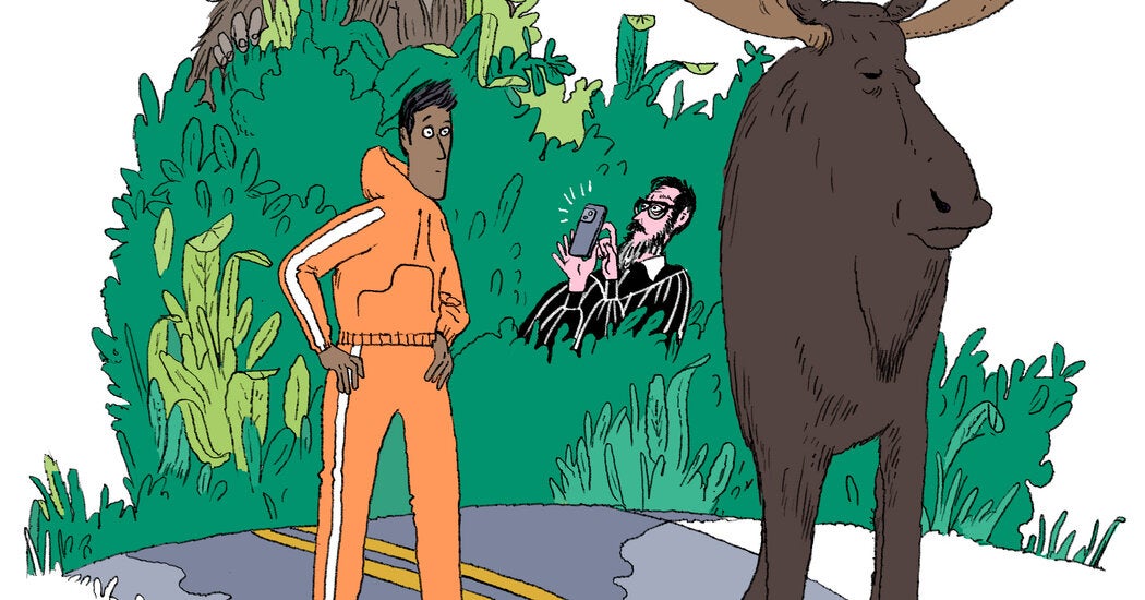 Can I Question My Partner’s Moose Sighting?