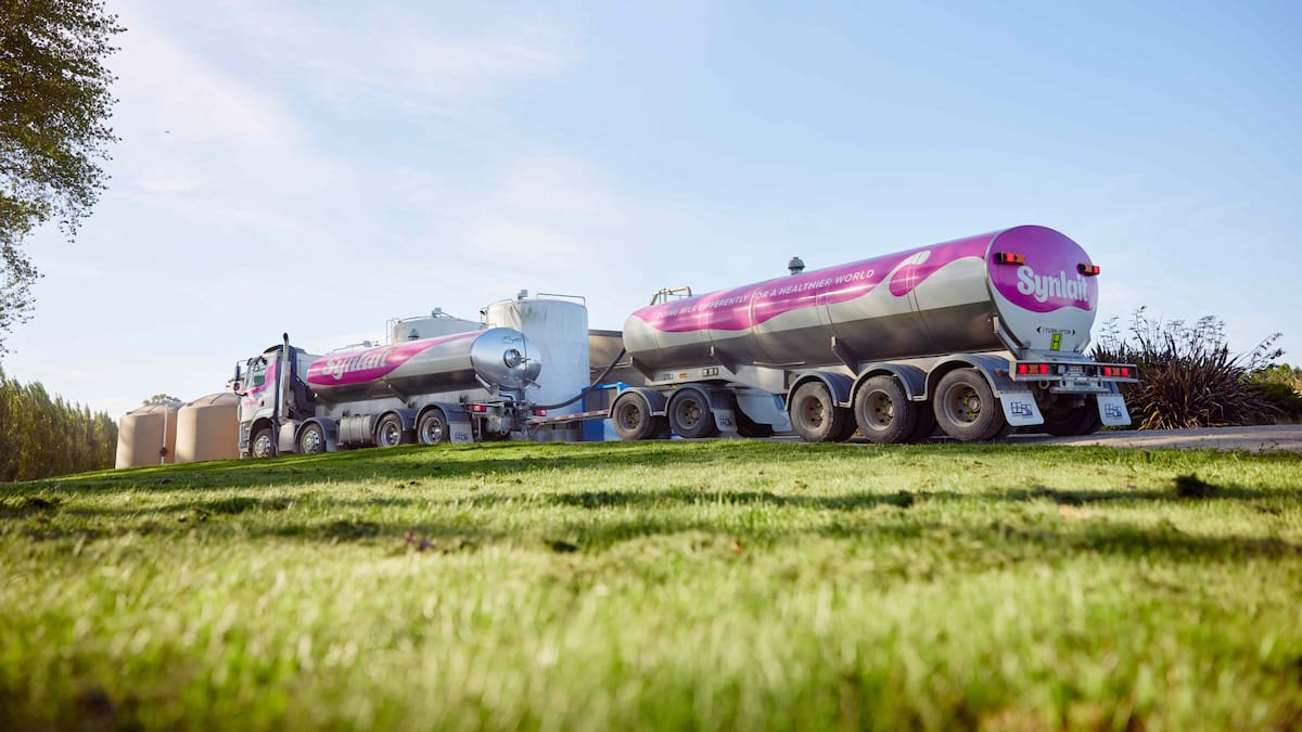 Synlait focuses on its South Island roots after string of losses
