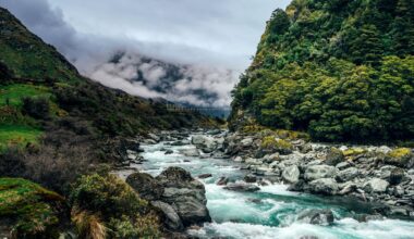 How a narrow escape led NZ author to write about trampers who go missing and those determined to find them