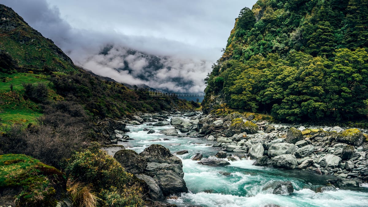 How a narrow escape led NZ author to write about trampers who go missing and those determined to find them