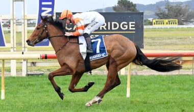 Horse racing: Auckland Thoroughbred Racing enters merger talks on huge day of news at racing HQ