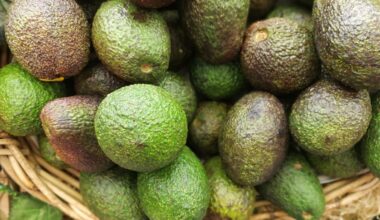 Avocado growers eye domestic growth as record season looms
