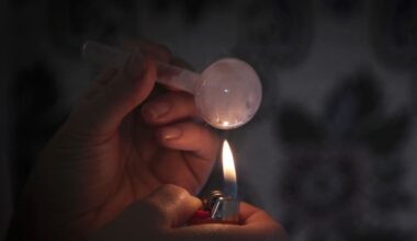 Early childhood teacher admits to Teacher’s Disciplinary Tribunal she used meth before work and at lunch