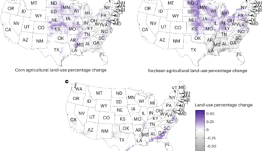 Genetically engineered crop adoption support yields and cultivation under climate change
