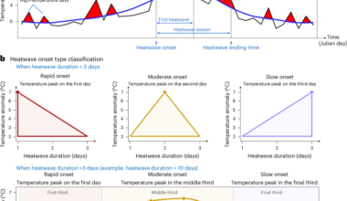 Earlier and faster heatwave onset on land under a warming climate