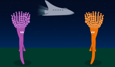 Fungal Starship transposons for interspecies gene transfer