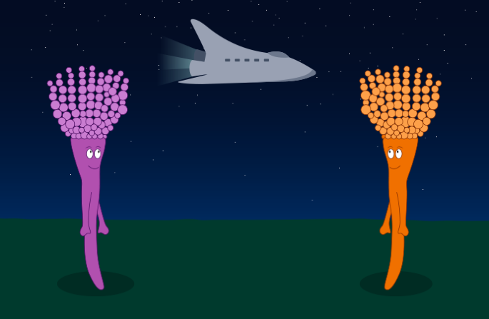 Fungal Starship transposons for interspecies gene transfer