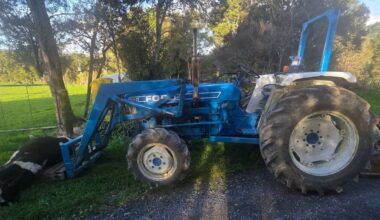 Northland bull death: Police, MPI investigate welfare concerns after animal strapped to pallet dies