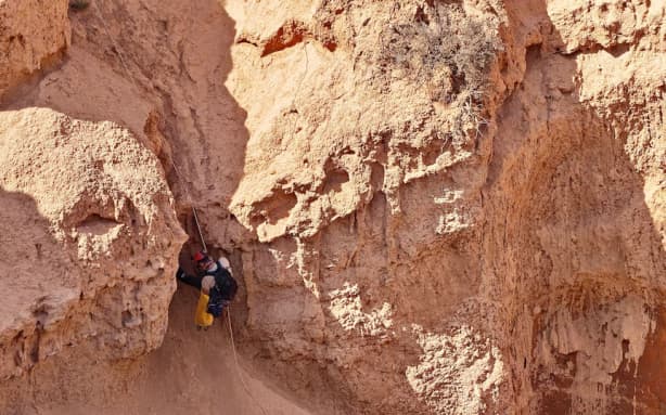 Researchers visited the site on South Australia's west coast.