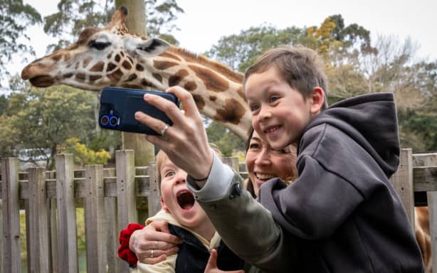 Orana Wildlife Park celebrates its 50th anniversary