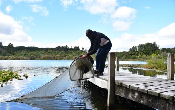Te Arawa Lakes Trust's Catfish Killas work to remove the slimy invasive species from the rohe. Photo / Laura Smith