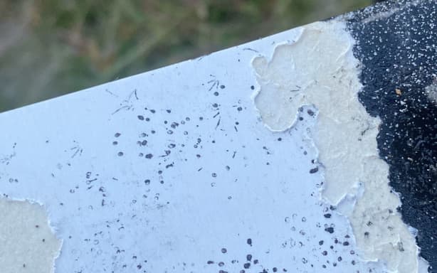 Close up of cardboard with ink footprints. Some footprints are made up of dots and others are made up of lines. There's damage to the cardboard and a solid ink section the animals walk through