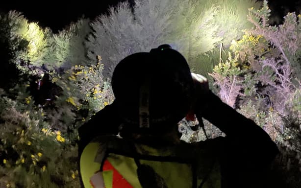 Mid shot of person facing away from camera, holding binoculars up to their eyes, head torch shining into the kānuka and gorse. The person is in shadow in the foreground and the flora is lit up by their head torch.